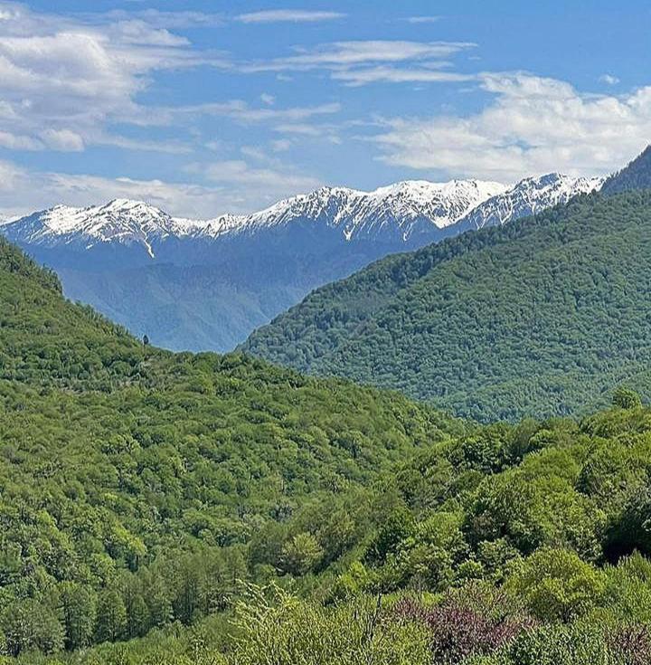 Bed and Breakfast Гостевой Дом "Амза" Tqvarcheli Exteriér fotografie